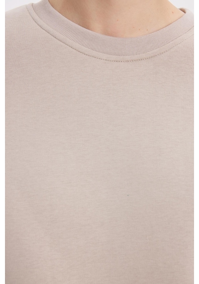 Tudors Kadın Oversize Geniş Kesim Pamuklu 3 İplik İçi Polarlı Basic Taş Bisiklet Yaka Sweatshirt-42070 Taş