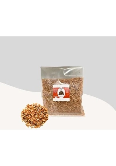 20 Gr Kurutulmuş Gammarus Karides İle Akvaryum Besini