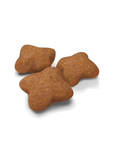 Royal Canin Kısırlaştırılmış Yavru Kedi Maması 2 KG