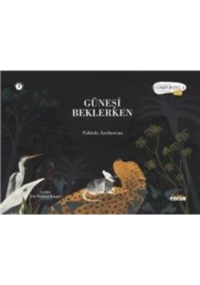 Güneşi Beklerken / Fabiola Anchorena