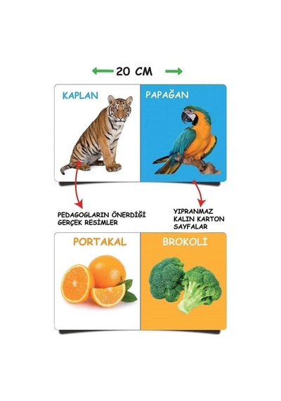 2090 Dıytoy, İlk Kütüphanem-ilk Sözcükler 8'li Mini Kitap Seti Çok Renkli