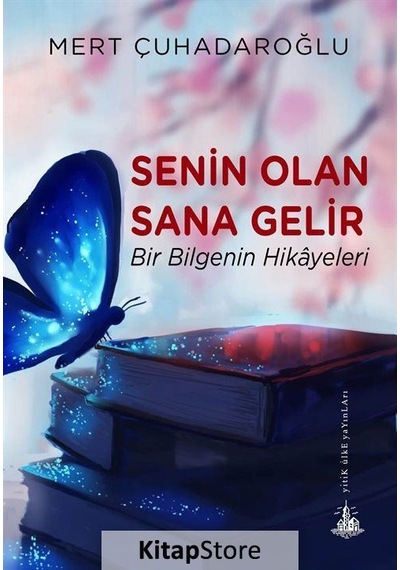 Senin Olan Sana Gelir - Mert Çuhadaroğlu - Yitik Ülke Yayınları