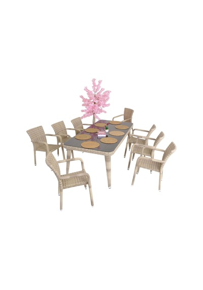 Peter 100x215 Rattan Bahçe Masa Takımı Diğer