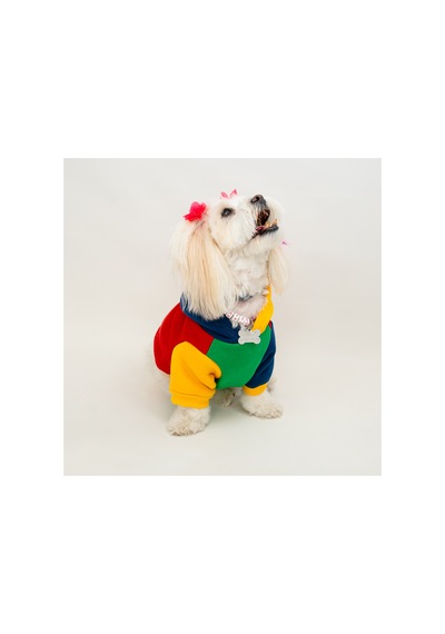 Premium Kapüşonlu Kedi Ve Köpek Sweatshirt Renkli Şık Pet Elbisesi