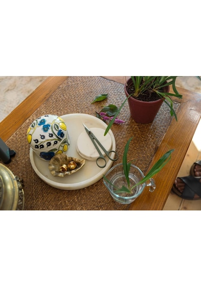 Urban Plant Care, Tutuculu Küçük Bitki Makası, Oda Bitkilerinde İnce Kesimler İçin, Toplam Uzunluk 17 Cm, Paslanmaz Çelik/plastik, Koyu Yeşil/siyah, 1075315