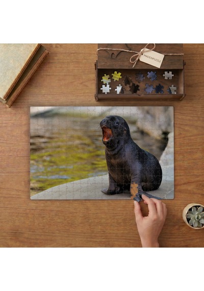 Esneyen Deniz Aslanı Yavrusu Tasarımı 240 Parça Ahşap Puzzle Ahşap Kutuda Mpy60122