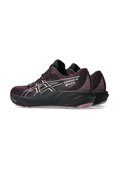 Asics Gt-2000 15 Gore-tex Kadın Mor Koşu Ayakkabısı 1012c002-500