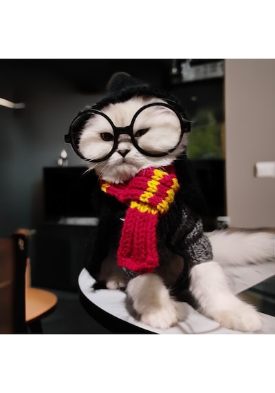 Kedi Ve Köpek İçin Harry Potter Kostümü Cüppe, Kazak, Kaşkol Ve Gözlük Takım