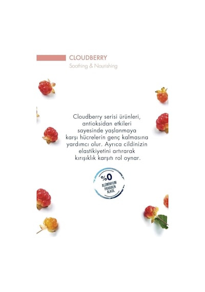 Cloudberry Temızleme Jeli 250ml Kuru/hassas