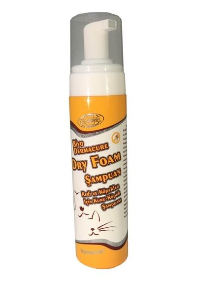 Biyoteknik Dry Foam Şampuan 250 ML