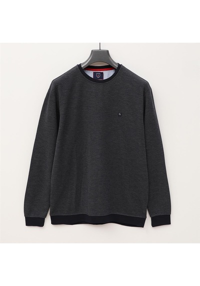 Dio Rise Erkek Uzun Kol İnce Sweatshirt - Czt-130 - Füme - Lacivert Füme - Lacivert