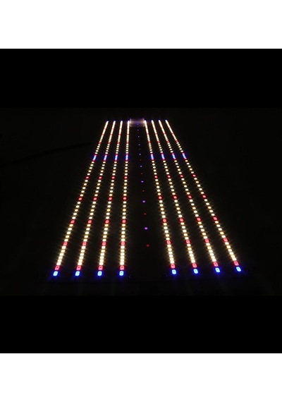 240w Quantum Board Bitki Yetiştirme Lambası Full Spektrum