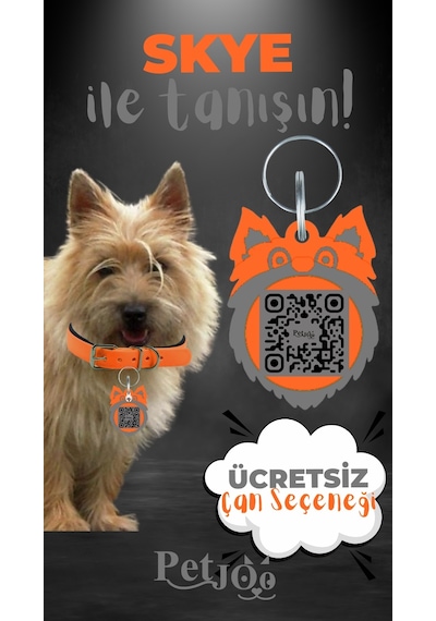 Petjoo 6.Skye Gri-Turuncu Qr'lı Köpek Künyesi