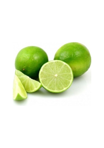 5 Yaş Aşılı Lima Verde Tatlı Lime Limon Fidanı. Torbada