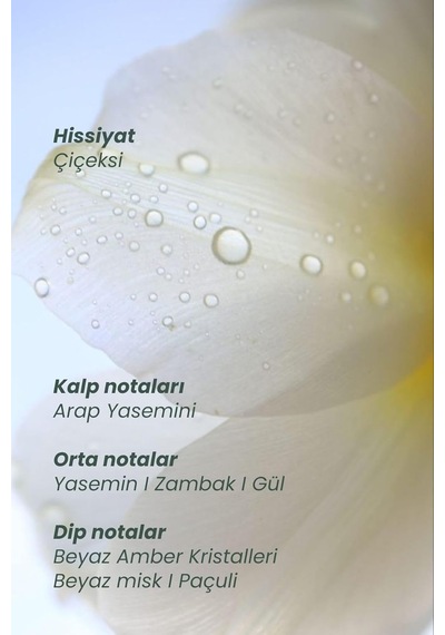 Matsu Professional Myth Yasemin Ve Gülün Sofistike Çiçeksi Harmanı Saç Parfümü, 50 Ml Ada Esintisi