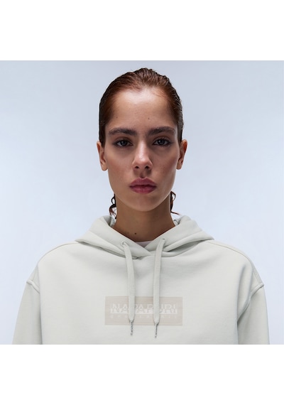 Napapijri B-box Logo H W Kadın Bej Sweatshirt Düz Np0a4hyqn901 Bej