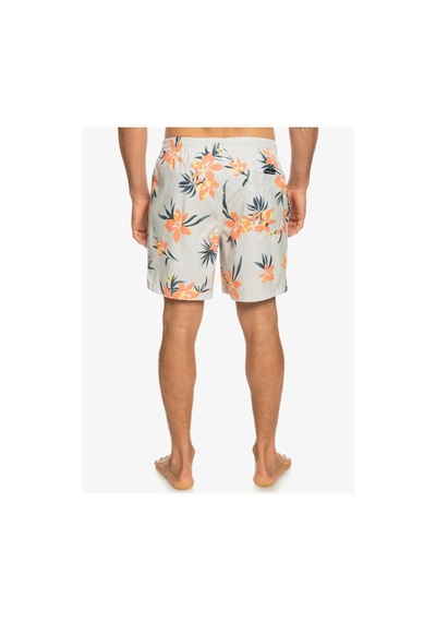 Quiksilver Eqyjv04002-wdw6 Mix 17 M Jamv Erkek Deniz Şortu 001