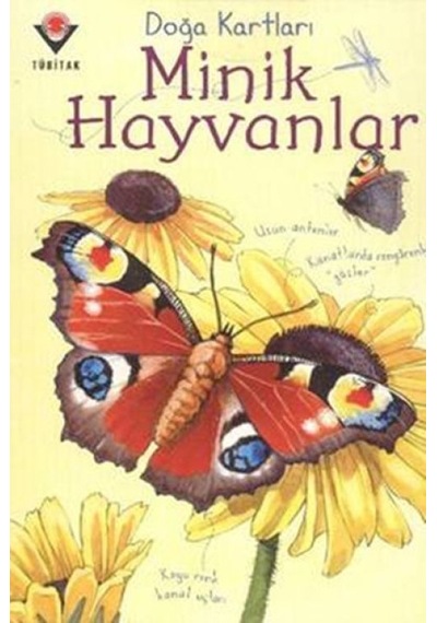 Doğa Kartları - Minik Hayvanlar - Glob-656608