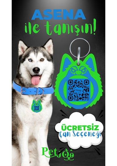 Petjoo 25.Asena Yeşil-Mavi Qr'lı Köpek Künyesi