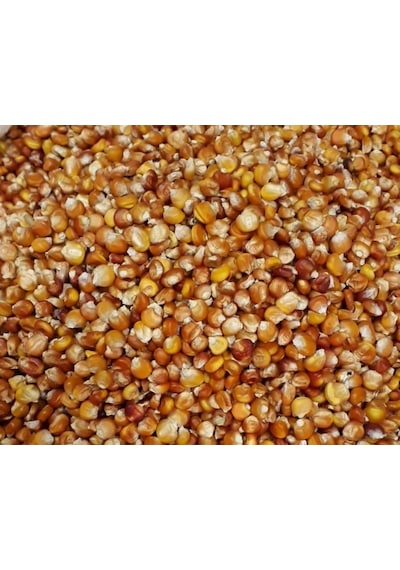Yerli Kokulu Köy Mısır Tohumu 1 Kg