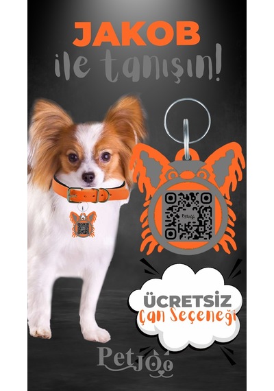 Petjoo 8.Jakob Gri-Turuncu Qr'lı Köpek Künyesi