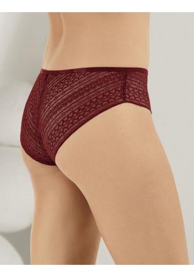 6 Lı Paket Şahinler Bayan Lez Dantelli Bikini Külot B3086