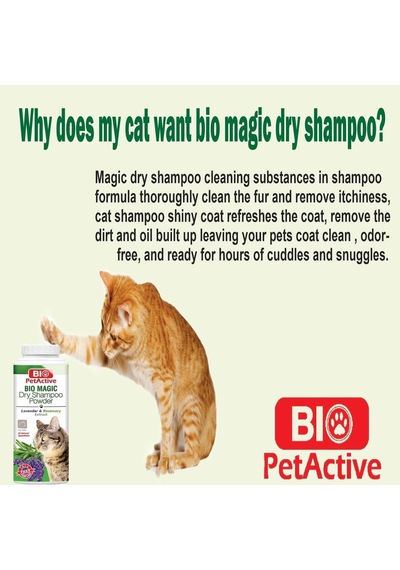 Magic Toz Kedi Şampuanı 150 Gr
