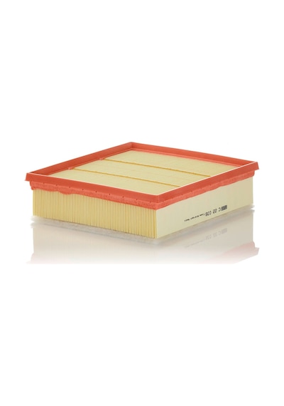Mann Filter C22039 Hava Filtresi