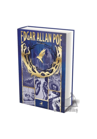 Edgar Allan Poe Öyküleri Olimpos Yayınları