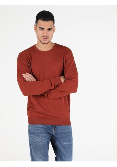 Colin's Regular Fit Bisiklet Yaka Erkek Tarçın Kazak CL1051445_Q1.V2_COR Kahverengi