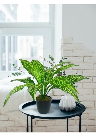 Yapay Çiçek Drecana Yukka 12yaprak Salon Çiçeği Plastik Siyah Saksılı Yapay Bitki