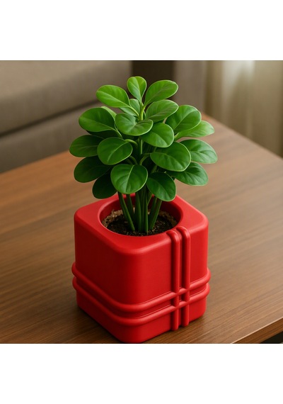 3d Baskı Square Planter - Izgara Desenli Küp Saksı-kırmızı