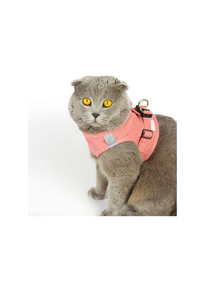 Kedi Gezdirme Tasması - Kedi Tasması Göğüs Tasma Seti Yumuşak Süet Pembe Renk