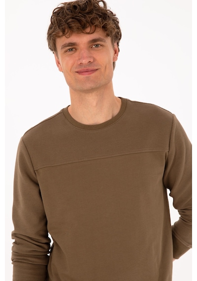 U.S. Polo Assn. Erkek Bisiklet Yaka Regular Fit Haki İnce Sweatshirt 50315455-VR027