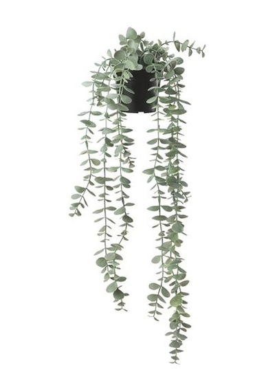 Yapay Bitki Okaliptüs Bitkisi 9 Cm İç/Dış Mekan,Sarkıt Bitki ,Yeşil