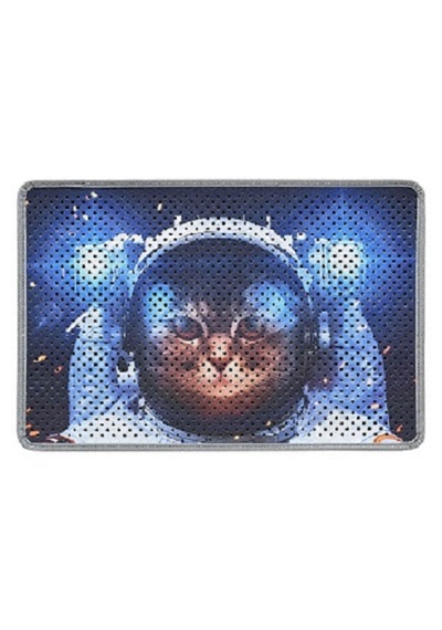 Kedi Kumu Paspası Kedi Tuvaleti Paspası Dijital Baskılı 40 x 60 CM