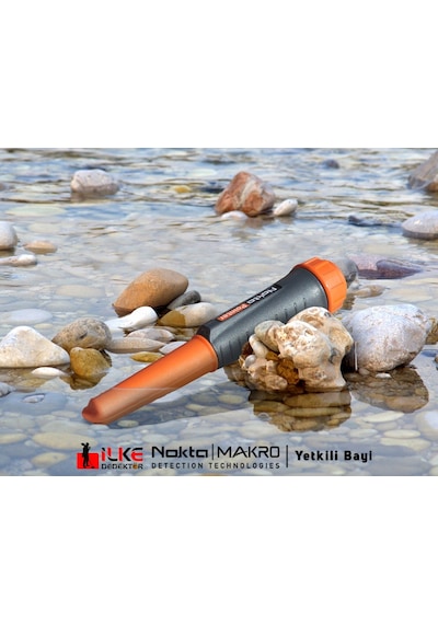 Nokta Pointer N11.129