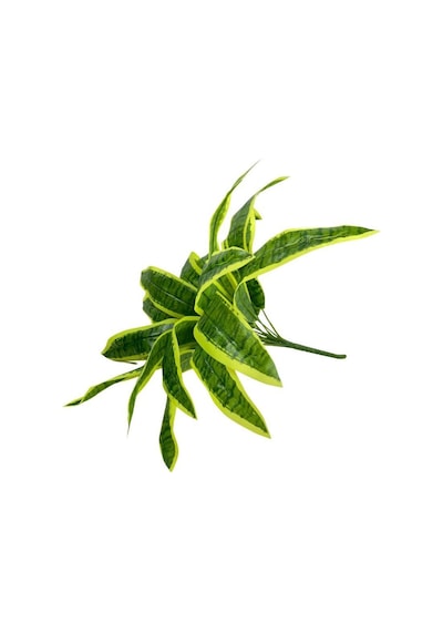Yapay Çiçek Dracaena Massengena Yaprağı Demeti 12 Yapraklı 40x50C