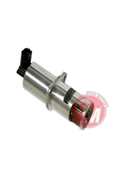 Gua 41506 Egr Valfi Renault Laguna. Megane. Scenıc. Trafıc 8200542997- 6001545462- 7700107797