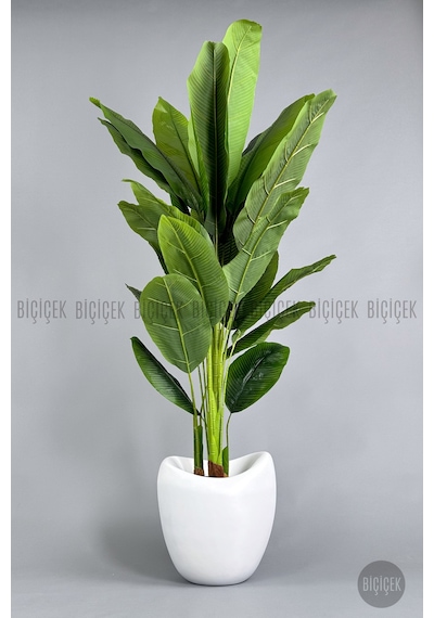 Biçiçek Yapay Muz Ağaci 210 Cm 4 Gövdeli̇ 21 Yaprak Beyaz Lale Saksıda