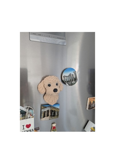 Toy Poodle Köpek Magnet Dekoratif Buzdolabı Magneti Sevimli Köpek Figürü 10 8 Cm
