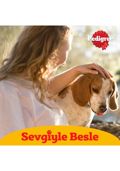 Pedigree Yetişkin Sığır Etli Ve Sebzeli Kuru Mama 2.6 Kg 5'li Paket