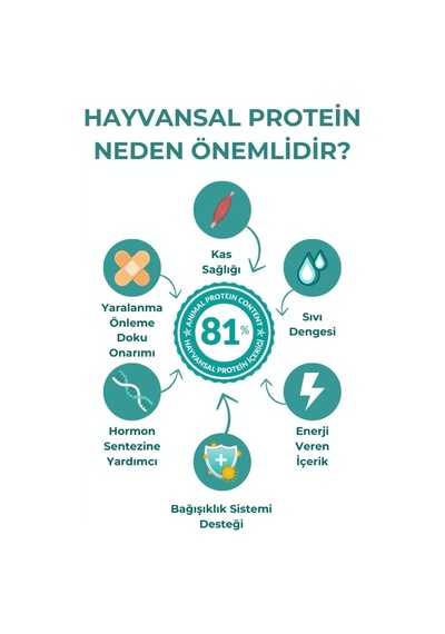 Clever Small & Mini Adult Kuru Köpek Maması, Küçük Irk, Yetişkin Köpek, Kuzu Etli, Tahılsız, 6kg 2x3kg