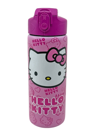 Hello Kitty 600 Ml Çelik Matara 3447 Çok Renkli