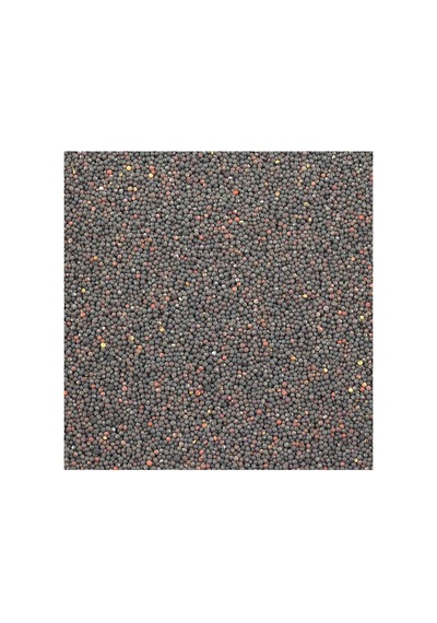 Hardal Siyah 300g