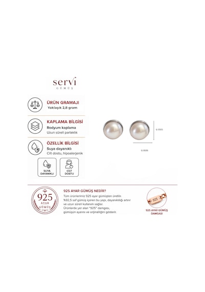 Servi 925 Ayar Gümüş Gümüş Çerçeveli İnci Küpe-504