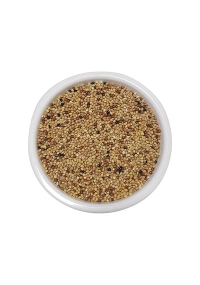 Sensitive Skin & Coat Kuru Köpek Sı, Deri Ve Tüy Hassasiyeti Olan, Yetişkin Köpekler İçin, Tahılsız, Somon Balıklı, 12kg 100 G