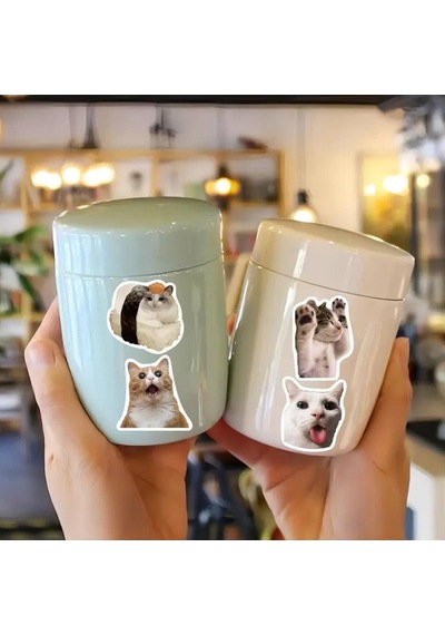 100'li Çılgın Kedi Sticker Set Laptop Notebook Tablet Sticker Seti