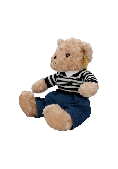 Sevimli Kıyafetli Peluş Ayı 37 Cm Yumuşacık Hediye Ayıcık Çok Renkli