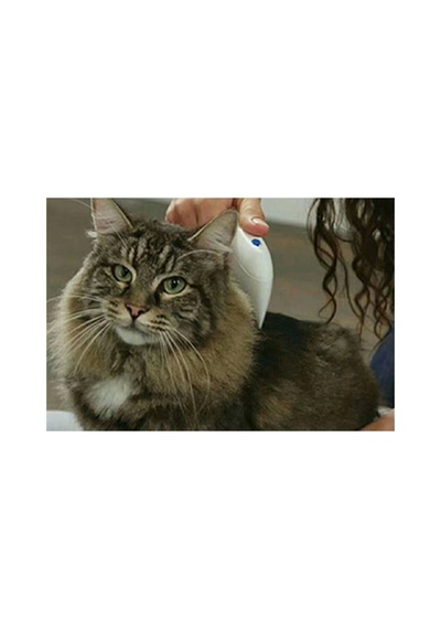 Fırça & Tarak Flea Doctor Pet Hayvanlar İçin Haşere Öldürücü Pilli Pire Tarağı Lisinya
